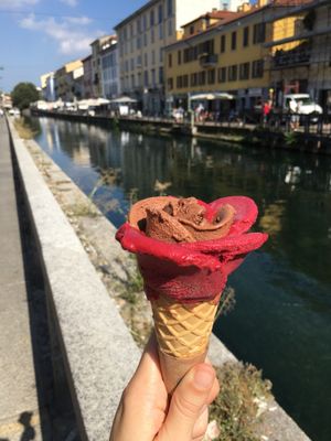 Chocolate & Blackcurrant (both vegan) at Amorino - Navigli in Milan