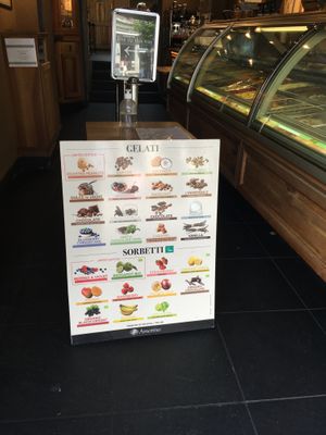 flavours at Amorino - Camden in North West London