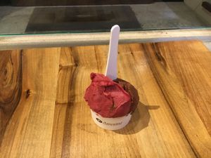 Vegan dessert at Amorino - Upper West Side in New York City