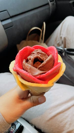 Organic chocolate sorbet, Raspberry, Citrus & Verbena on a large Vegan waffle cone  at Amorino - Times Square in New York City