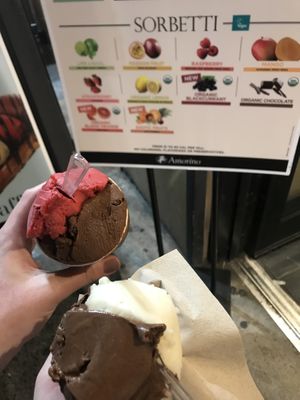 Vegan organic chocolate sorbet, raspberry sorbet and banana sorbet  at Amorino - Times Square in New York City