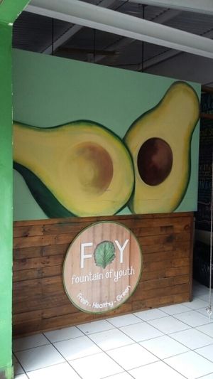 arte! at Fountain of Youth in Bocas Del Toro