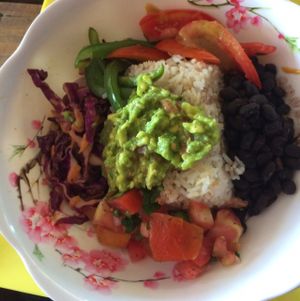 vegan at Fountain of Youth in Bocas Del Toro