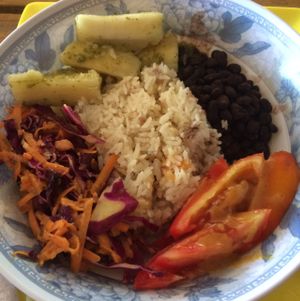 vegan at Fountain of Youth in Bocas Del Toro