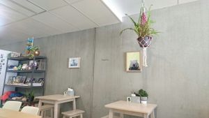 wombat at Wombat Cafe & Store in Dromana