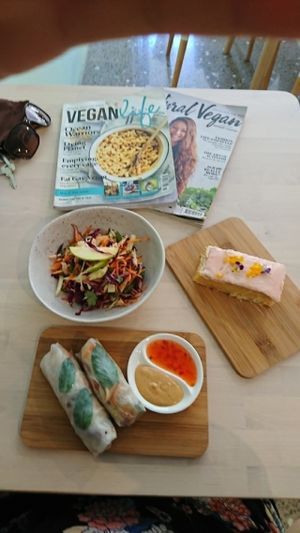 coleslaw,  rice paper rolls and vanilla slice.  delicious ?  at Wombat Cafe & Store in Dromana