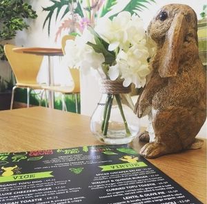 Inside at Rabbit Vegan Cafe in Exeter