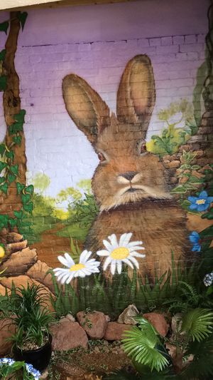 The rabbit  at Rabbit Vegan Cafe in Exeter