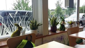 Rabbit vegan café at Rabbit Vegan Cafe in Exeter