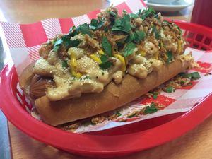 Hotdog with mac and cheese at Rabbit Vegan Cafe in Exeter