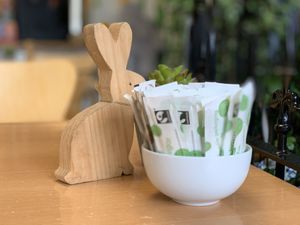 Cute rabbits! at Rabbit Vegan Cafe in Exeter