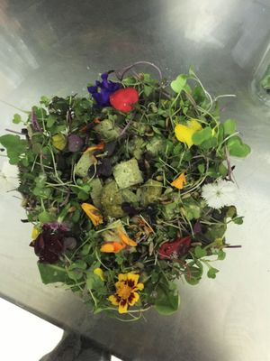 basile tofu and micro outbreaks salad at Amapola in Caceres