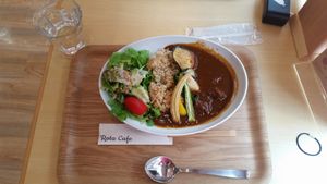 I ordered this hayashi(hashed-beef) rice and it was delicious. I found the fake-meat very delicious, and the texture surprisingly close to what I remember to be meat. at Rota Cafe in Fukuoka