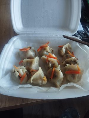 Vegan dim sum dumplings at Parowar in Olsztyn