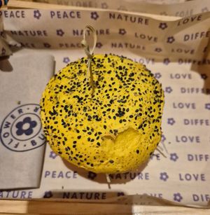 Funny crispy burger at Flower Burger in Rome