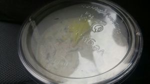 Pseudorybkova pomazanka.chutnala len kamoska ale vraj dobra at Simply Vegan in Prievidza