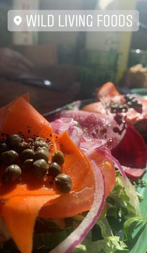 Lox bagel  at Wild Living Foods in Los Angeles