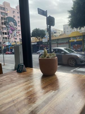 Downtown L.A. View Table Views #Veganuary at Wild Living Foods in Los Angeles