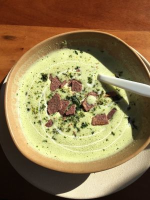 Brocoll lime soup at Wild Living Foods in Los Angeles