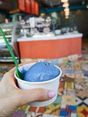  at Wild Living Foods in Los Angeles