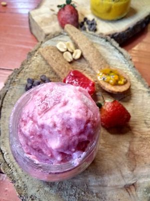 Ice Cream at Chia Fonda Vegana in Guadalajara