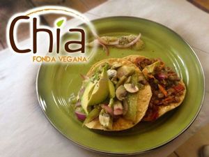 tostadas de aguachile de champiñones at Chia Fonda Vegana in Guadalajara