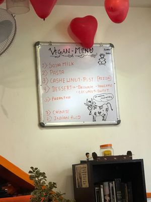 “Vegan menu” at Yummy Yoga Cafe in Udaipur