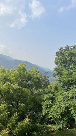   at TATTV Cafe in Rishikesh