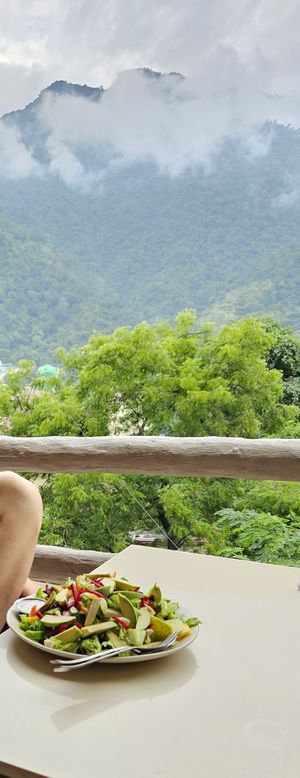 Yogi salad and view. at TATTV Cafe in Rishikesh
