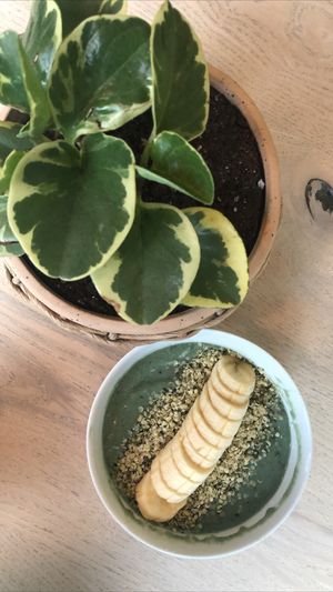 Peppermint Chip smoothie bowl at Native in Columbus