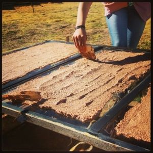 making of raw crackers gluten free  at Hostal Joshua in Copacabana