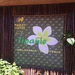 b at Tipanie  in Isla De Pascua