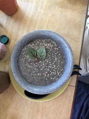 Vegan soup at Neko Neko in Fitzroy