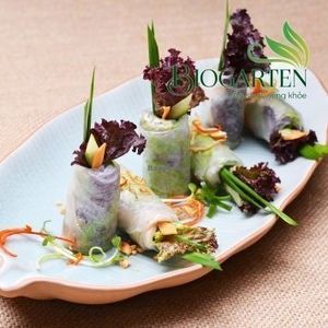 Fresh spring rolls at Biogarten Restaurant in Ho Chi Minh City