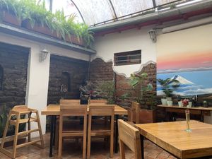   at El Maple in Quito