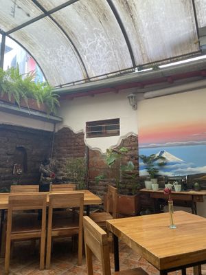   at El Maple in Quito