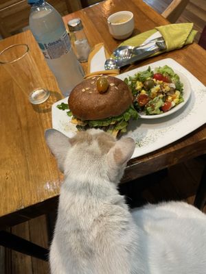   at El Maple in Quito