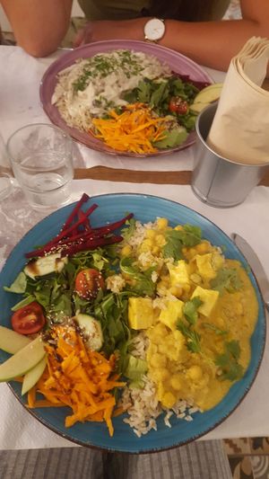 Curry and mushroom stroganoff at Outro Lado in Faro