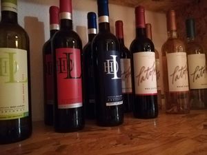 Alentejo vegan Wines at Outro Lado in Faro