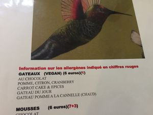 Dessert menu - lots of vegan cake! at De Rode Koe in Lille