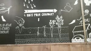 4 month to grow  at PUR etc in Versailles