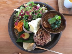 Amazing curry  at Kousagisha Cafe in Kyoto