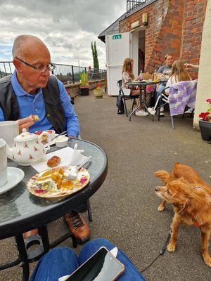  at Violets Tea Rooms in Bridgnorth