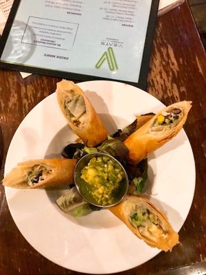 Avocado Spring Rolls at V-Eats in Dallas