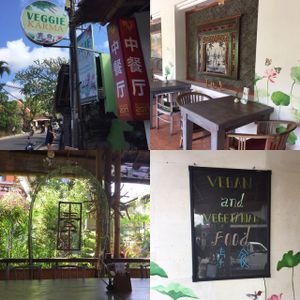 Environment  at Veggie Karma in Ubud