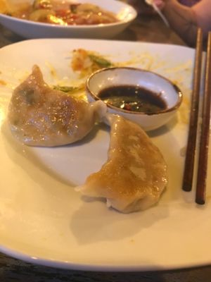 Pan fried dumplings  at Veggie Karma in Ubud