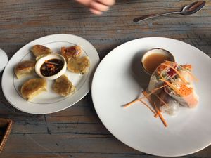 Dumplings and rice paper rolls at Veggie Karma in Ubud