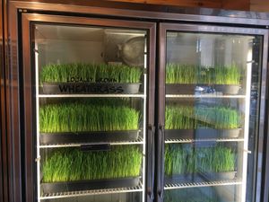 They have a lot of wheat grass! at Juice Generation - 8th Ave in New York City