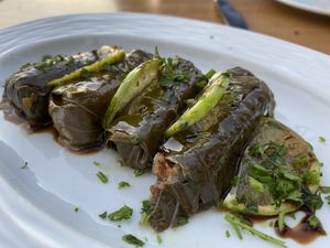 Dolmas  at Mezze Restaurant in Kralendijk