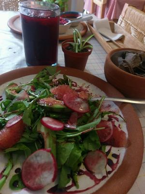 super yummy arugula salad with raddish and grapefruit. very light at Cabuche in Oaxaca